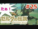 【ゼルダの伝説】のんびり実況プレイ#25【ブレス オブ ザ ワイルド】