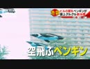 【疑似m@s】フライングバード