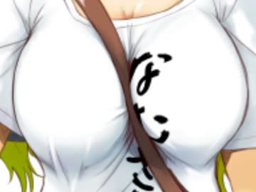 【実況】雑なオッサンが弾幕修行【星蓮船編】 後語り