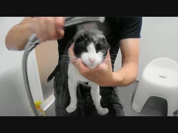 #彼女とお風呂にゃう に使っていいよ