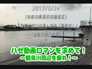 釣り動画ロマンを求めて　番外編(ハゼ動画ロマンを求めてin鶴見川周辺）