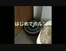 【きなことりょう】はじめてのルンバ(ロボット掃除機)