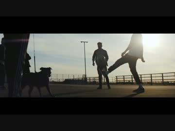 Courts - True Say