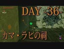 【ゼルダの伝説 BotW】毎日祠を攻略解説 DAY 36【カマ・ラヒの祠】