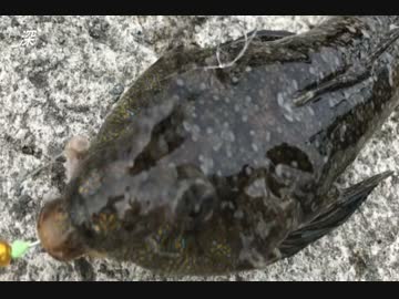 釣り動画ロマンを求めて　62釣目（湯河原海浜公園）