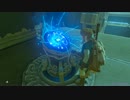 【ゼルダの伝説】ブレスオブザワイルド【マスターモード：8】