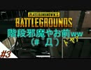 【PUBG】変態と変人で、ぶらりドン勝食べ歩きの旅【実況プレイ】part3