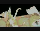 【東方MMD】　霊夢＆魔理沙　極楽浄土（三味線バージョン）