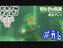 ゼルダ脳を鍛える大人のブレスオブザワイルド実況part.46