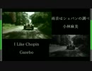 【ニコカラ】I Like Chopin/雨音はショパンの調べ（on-英語）