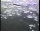 大韓航空機撃墜事件　5