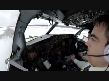 [コックピット動画] 気流乱れまくりの中での着陸
