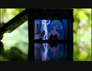真夏のレターレインボー【ダンボール箱ビジョン】