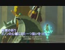 ゼルダ歴ゼロ年による生活記録 part 35