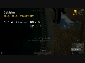 生まれて初めてドン勝れたやつの記念のやつ
