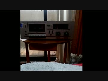 【カセットデッキ】OTTO RD1010（Sanyo rd 5008）で鳥の詩