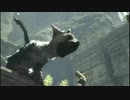 【少年と大鷲の絆物語】人喰いの大鷲トリコ part9