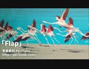 【無料フリーBGM・疾走感(ピアノロック)】Flap【PeriTune】