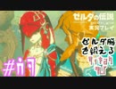 ゼルダ脳を鍛える大人のブレスオブザワイルド実況part.47
