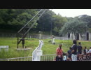 キリンの餌カゴ準備中