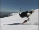 JAPAN SNOW PROJECT CM そのいち