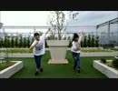【Arcadia】バタフライ・グラフィティ【踊ってみた】