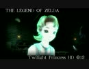 【ゼルダの伝説TPHD】急ぐプレイヤー、焦るリンク＠１３