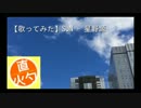 【歌ってみた】星野源 - SUN【直灼】