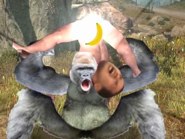 野獣先輩VSゴリラ