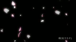 【エフェクト】桜(見下ろす)