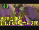 盗賊リンクのゼル伝BOW実況part41
