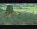 【ゼルダの伝説】ブレスオブザワイルド【マスターモード：25】