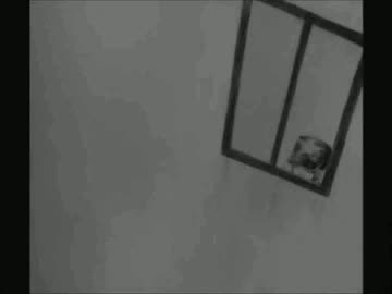 【ジョジョソン６部】薬.箱ver徐倫【歌ってみた】