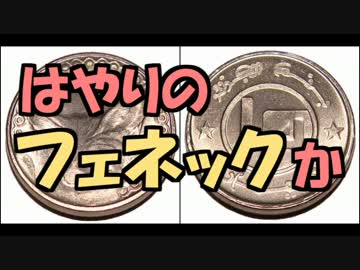 世界なんちゃって探訪　アフリカ最大の国「アルジェリア」後編