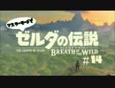 【実況】マスターモードでBreath of the Wild#14【ゼルダの伝説】