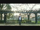 【歌って踊ってみた】風待ちハローワールド【奏多】