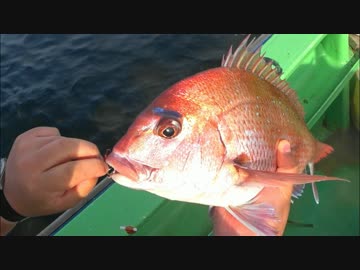 釣りどれんの電車釣行記　18　～テンヤで5目釣れたよ～