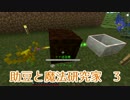 【Minecraft】助豆と魔法研究家　3【実況】