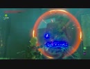 ▲ゼルダの伝説ブレスオブザワイルド【実況13】剣の試練極位
