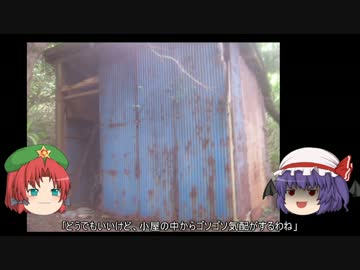 ゆっくり農民60畑を拓いてみませんか？#12