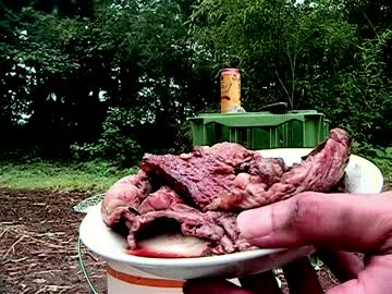 ゆっくり中の人の独り焼肉～おもいでづくり編