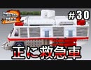 自分の色に染めろ！メタルマックス2R実況 #30