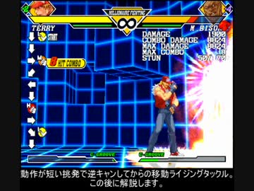 CAPCOM VS SNK2 カプエス2　TASさん向けコンボ動画 SNK編 Part.4 テリー