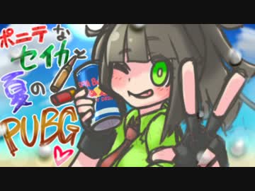 ポニテなセイカと夏のPUBG