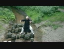 氣功 Silk Reeling, Douwe Geluk Tai Chi Apeldoorn