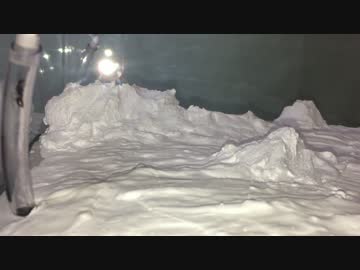 蟻戦争＃146 蟻戦争序幕、そして大事なお願い編