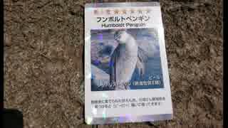 コラボ第２弾初日のグレープ君に会ってきました【東武動物公園】