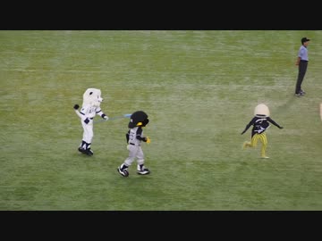 マイナビオールスター2017謎の魚VS12球団マスコット