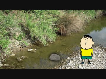 石だと思ったらワープホールに吸い込まれたボーちゃん