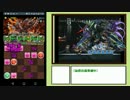 花嫁カノパ　ヘパイストスドラゴン降臨 ソロノーコン　【パズドラ】